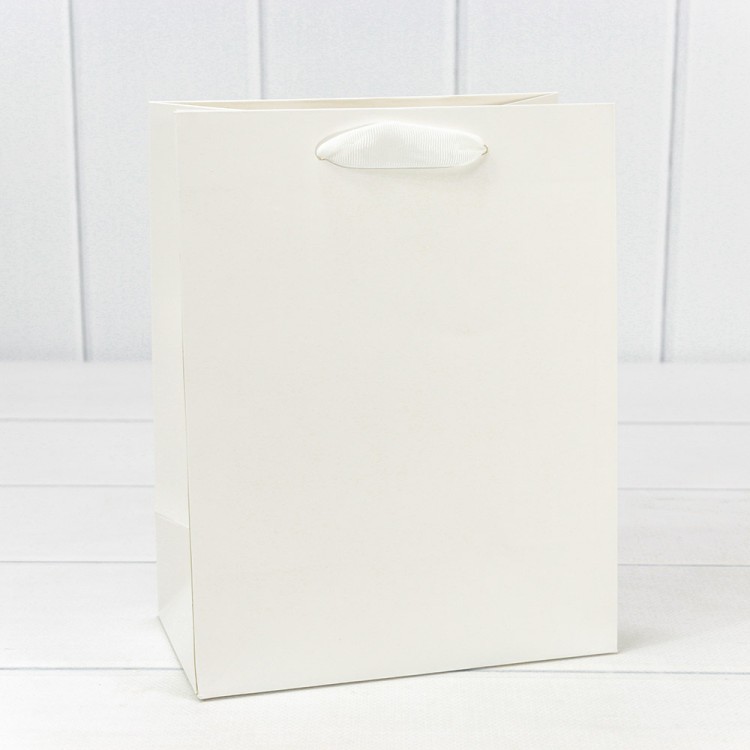 000200E	Пакет подарочный Белый 18*23*10 230г 1/20 1/360